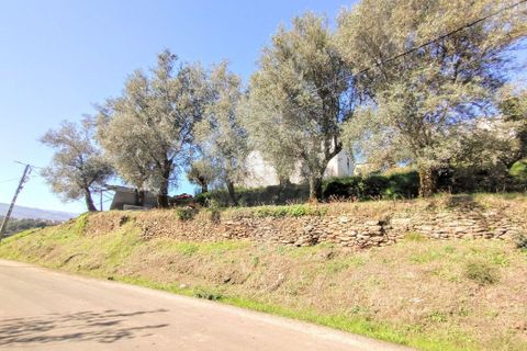 Villa i Celorico de Basto, Braga, Celorico de Basto - € 107.000 | Ref: 126311008-23 - foto 10