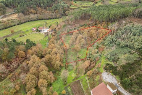 Helårsgrund i Vila Real, Vila Real, Vila Real - € 55.000 | Ref: 123331135-81 - foto 5