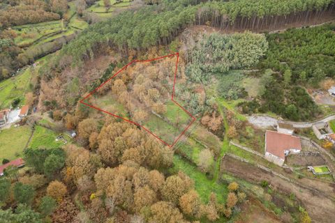Helårsgrund i Vila Real, Vila Real, Vila Real - € 55.000 | Ref: 123331135-81 - foto 6