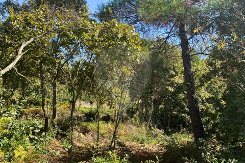 Helårsgrund i Vila Real, Vila Real, Vila Real - € 55.000 | Ref: 123331135-81 - foto 7