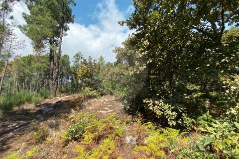 Helårsgrund i Vila Real, Vila Real, Vila Real - € 55.000 | Ref: 123331135-81 - foto 8