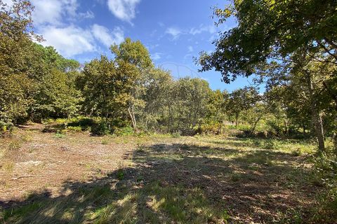 Helårsgrund i Vila Real, Vila Real, Vila Real - € 55.000 | Ref: 123331135-81 - foto 10