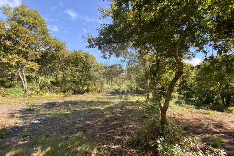 Helårsgrund i Vila Real, Vila Real, Vila Real - € 55.000 | Ref: 123331135-81 - foto 11