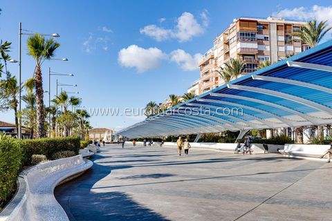 Rækkehus i Torrevieja, Alicante, Torrevieja - € 255.000 | Ref: 4479 - foto 14