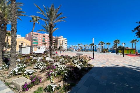 Rækkehus i Torrevieja, Alicante, Torrevieja - € 255.000 | Ref: 4479 - foto 45