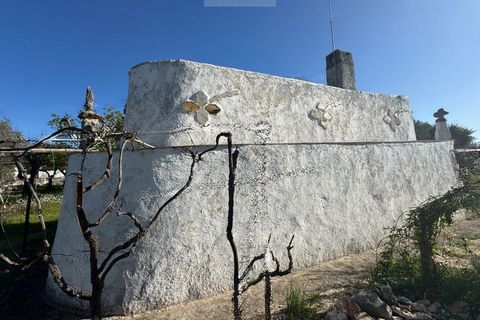 Tomt i Carovigno, Brindisi, Carovigno - € 74 000 | Ref: ca6 - foto 4