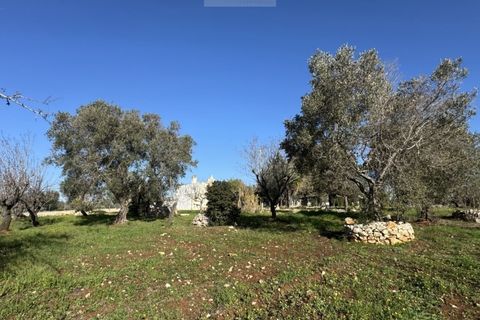 Tomt i Carovigno, Brindisi, Carovigno - € 74 000 | Ref: ca6 - foto 11