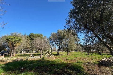 Tomt i Carovigno, Brindisi, Carovigno - € 74 000 | Ref: ca6 - foto 8