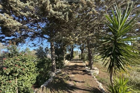 Tomt i Carovigno, Brindisi, Carovigno - € 74 000 | Ref: ca6 - foto 12