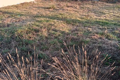 Helårsgrund i Aveiro, Aveiro, Aveiro - € 42.500 | Ref: AV24/165/01 - foto 7