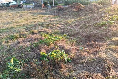 Helårsgrund i Aveiro, Aveiro, Aveiro - € 42.500 | Ref: AV24/165/03 - foto 12