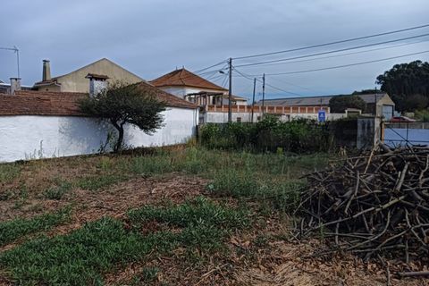 Terreno en Eixo e Eirol, Aveiro, Eixo e Eirol - € 130.000 | Ref: AV24/121 - photo 2