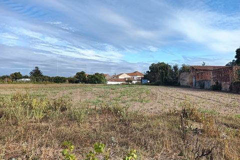 Terreno en Eixo e Eirol, Aveiro, Eixo e Eirol - € 130.000 | Ref: AV24/121 - photo 3