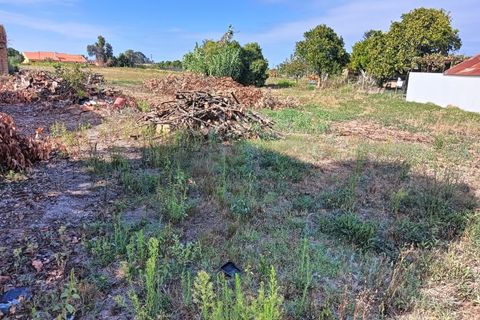 Terreno en Eixo e Eirol, Aveiro, Eixo e Eirol - € 130.000 | Ref: AV24/121 - photo 4