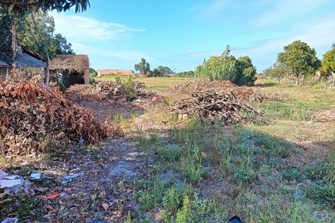 Terreno en Eixo e Eirol, Aveiro, Eixo e Eirol - € 130.000 | Ref: AV24/121 - photo 5