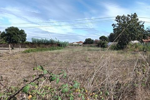 Terreno en Eixo e Eirol, Aveiro, Eixo e Eirol - € 130.000 | Ref: AV24/121 - photo 6