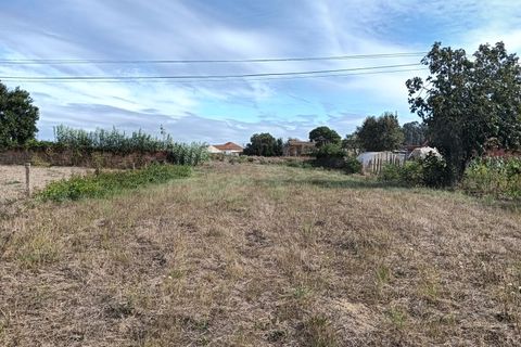 Terreno en Eixo e Eirol, Aveiro, Eixo e Eirol - € 130.000 | Ref: AV24/121 - photo 7