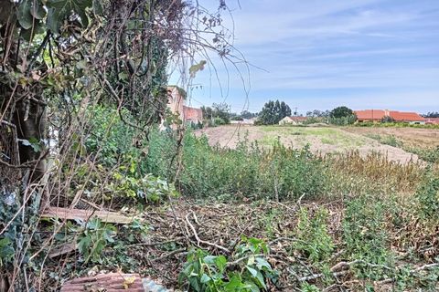 Terreno en Eixo e Eirol, Aveiro, Eixo e Eirol - € 130.000 | Ref: AV24/121 - photo 8