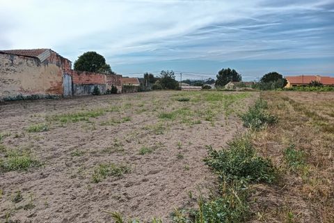 Terreno en Eixo e Eirol, Aveiro, Eixo e Eirol - € 130.000 | Ref: AV24/121 - photo 9