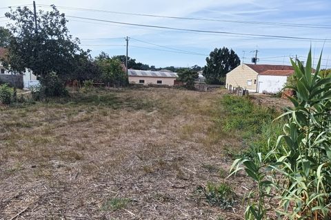 Terreno en Eixo e Eirol, Aveiro, Eixo e Eirol - € 130.000 | Ref: AV24/121 - photo 11