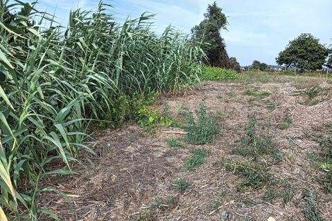Terreno en Eixo e Eirol, Aveiro, Eixo e Eirol - € 130.000 | Ref: AV24/121 - photo 12