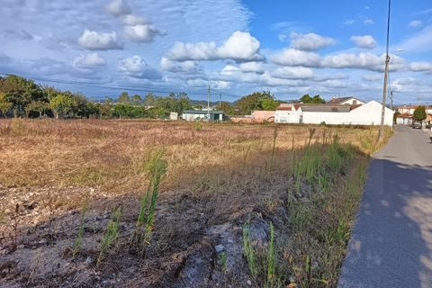 Helårsgrund i Eixo e Eirol, Aveiro, Eixo e Eirol - € 200.000 | Ref: AV24/120 - foto 2