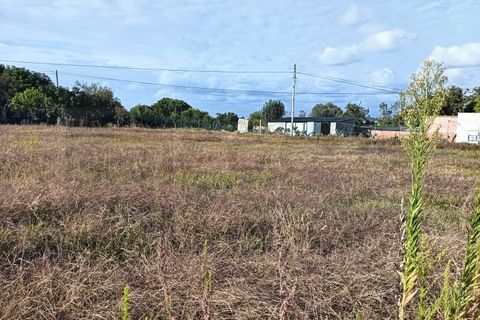 Helårsgrund i Eixo e Eirol, Aveiro, Eixo e Eirol - € 200.000 | Ref: AV24/120 - foto 3