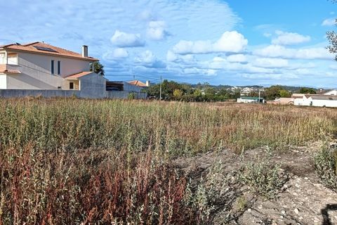 Helårsgrund i Eixo e Eirol, Aveiro, Eixo e Eirol - € 200.000 | Ref: AV24/120 - foto 10