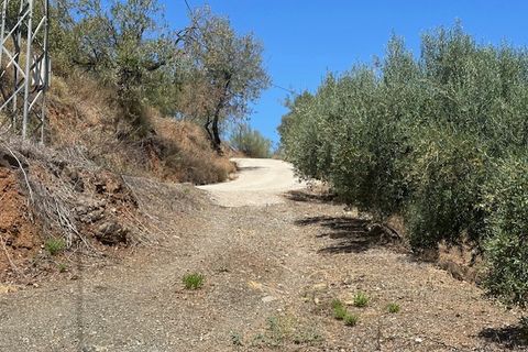 Herregård i Comares, Malaga, Comares - € 170 000 | Ref: ID4249 - foto 22