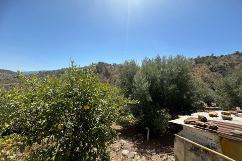 Herregård i Comares, Malaga, Comares - € 170 000 | Ref: ID4249 - foto 19
