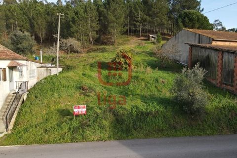 Terra a Freixianda, Santarem, Freixianda - € 15.000 | Ref: 1303 - foto 2