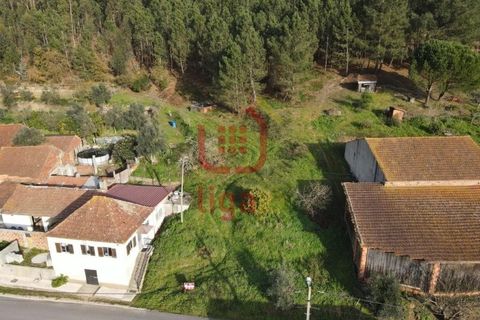 Terra a Freixianda, Santarem, Freixianda - € 15.000 | Ref: 1303 - foto 3