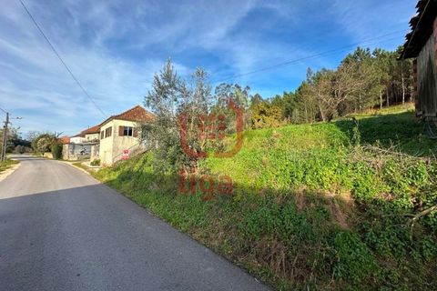 Terra a Freixianda, Santarem, Freixianda - € 15.000 | Ref: 1303 - foto 4