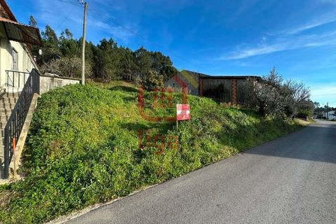 Terra a Freixianda, Santarem, Freixianda - € 15.000 | Ref: 1303 - foto 5