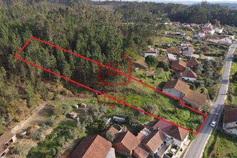 Terra a Freixianda, Santarem, Freixianda - € 15.000 | Ref: 1303 - foto 6