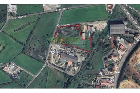 Helårsgrund i Sintra, Lisbon, Sintra - € 600.000 | Ref: 02/25 - foto 2