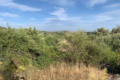Helårsgrund i Noto, Siracusa, Noto - € 18.000 | Ref: V000036 - foto 2