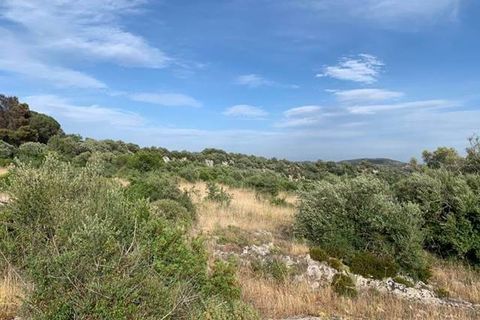 Helårsgrund i Noto, Siracusa, Noto - € 18.000 | Ref: V000036 - foto 4