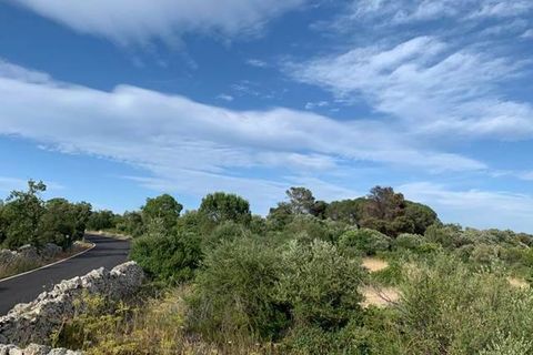 Helårsgrund i Noto, Siracusa, Noto - € 18.000 | Ref: V000036 - foto 5