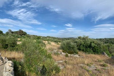 Helårsgrund i Noto, Siracusa, Noto - € 18.000 | Ref: V000036 - foto 6