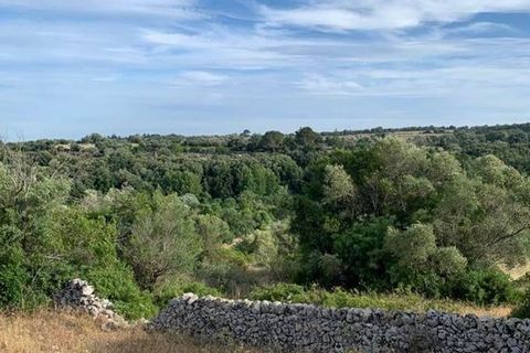 Helårsgrund i Noto, Siracusa, Noto - € 18.000 | Ref: V000036 - foto 7