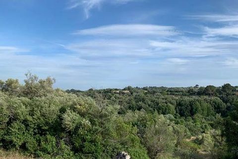 Helårsgrund i Noto, Siracusa, Noto - € 18.000 | Ref: V000036 - foto 9