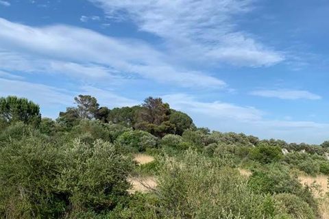 Helårsgrund i Noto, Siracusa, Noto - € 18.000 | Ref: V000036 - foto 10