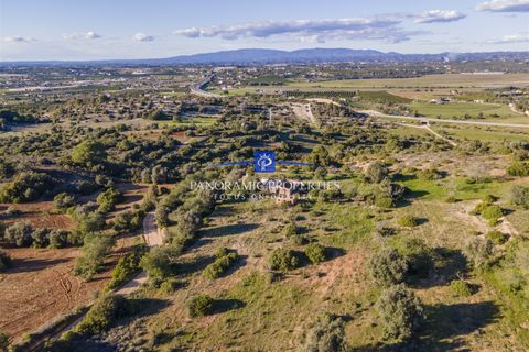 Helårsgrund i Monchique, Faro, Monchique - € 350.000 | Ref: PPPR784-P - foto 3