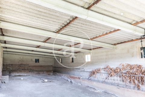Farm hus i Algaida, Mallorca, Algaida - € 4.200.000 | Ref: VPM2303027 - foto 9