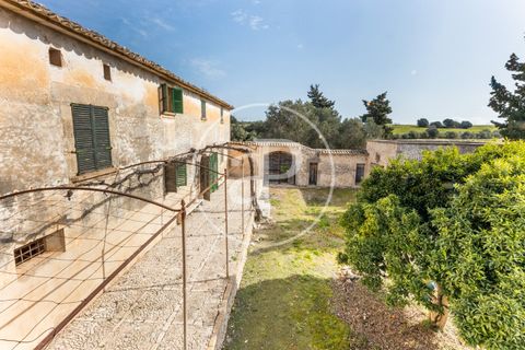 Farm hus i Algaida, Mallorca, Algaida - € 4.200.000 | Ref: VPM2303027 - foto 10