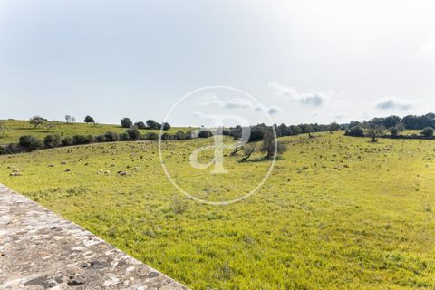 Farm hus i Algaida, Mallorca, Algaida - € 4.200.000 | Ref: VPM2303027 - foto 12