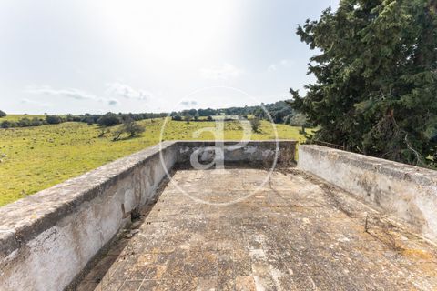 Farm hus i Algaida, Mallorca, Algaida - € 4.200.000 | Ref: VPM2303027 - foto 13