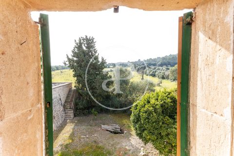 Farm hus i Algaida, Mallorca, Algaida - € 4.200.000 | Ref: VPM2303027 - foto 40