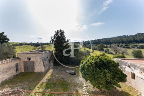 Farm hus i Algaida, Mallorca, Algaida - € 4.200.000 | Ref: VPM2303027 - foto 41